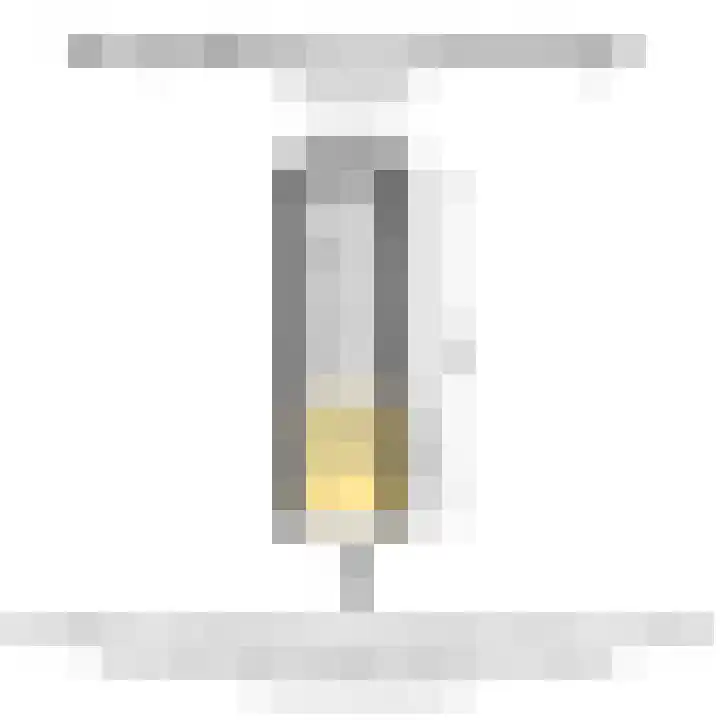 Nunspeetlaan 24 Den Haag thumbnail 32
