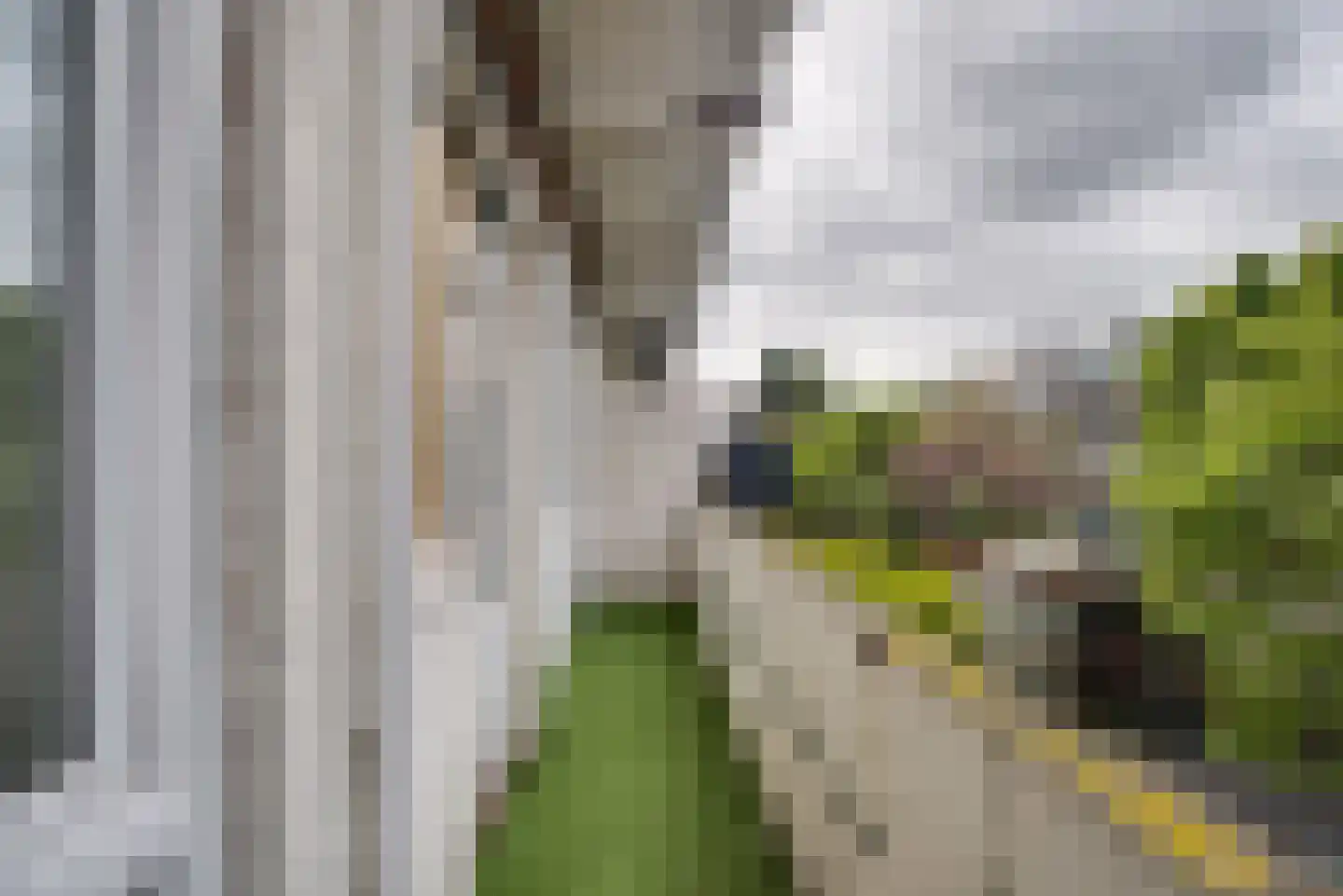 Nunspeetlaan 243 Den Haag thumbnail 16