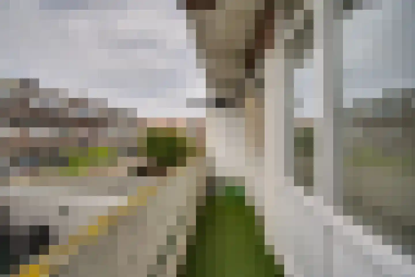 Nunspeetlaan 243 Den Haag thumbnail 5