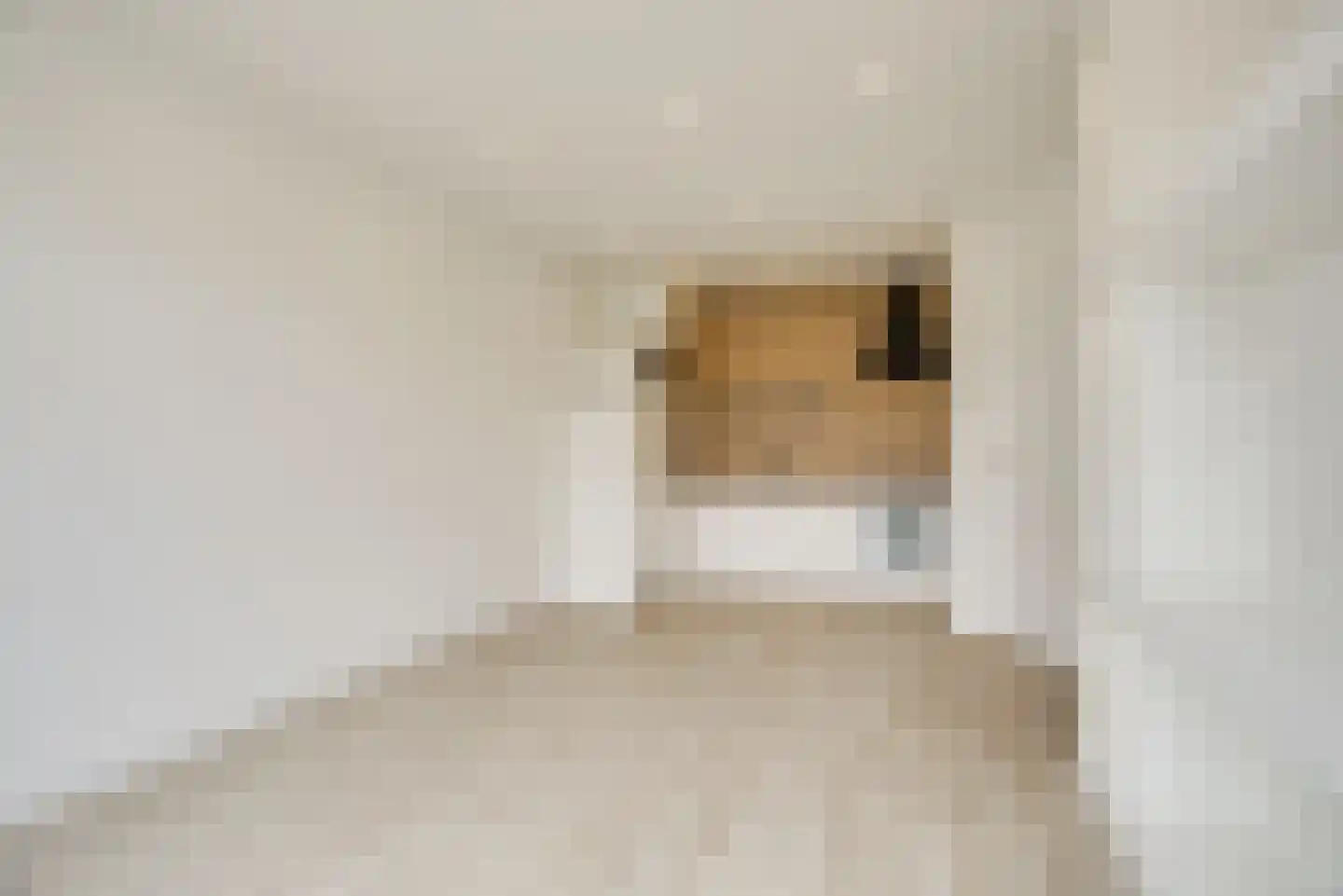 Nunspeetlaan 243 Den Haag thumbnail 7