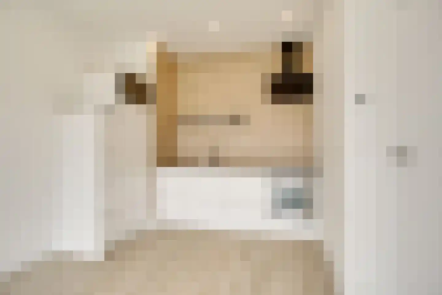 Nunspeetlaan 243 Den Haag thumbnail 8