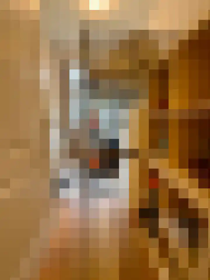 Nunspeetlaan 252 Den Haag thumbnail 10