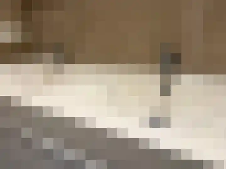 Nunspeetlaan 252 Den Haag thumbnail 14