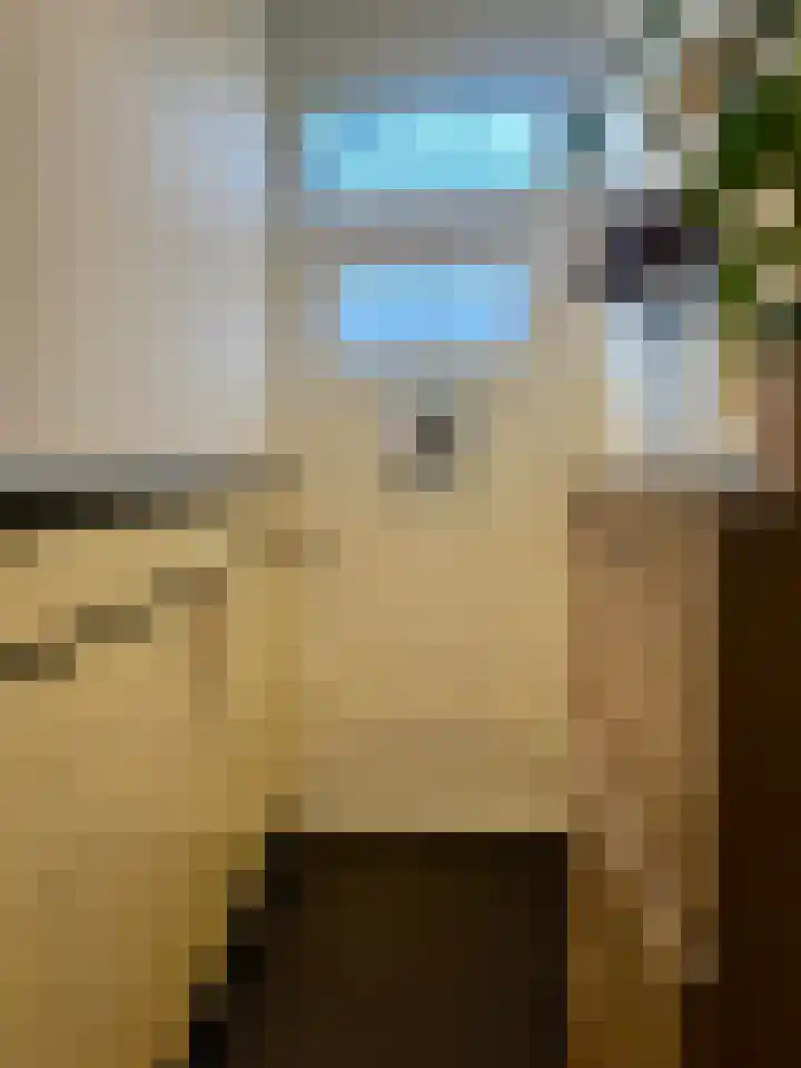 Nunspeetlaan 252 Den Haag thumbnail 18