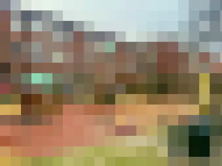 Nunspeetlaan 252 Den Haag thumbnail 20