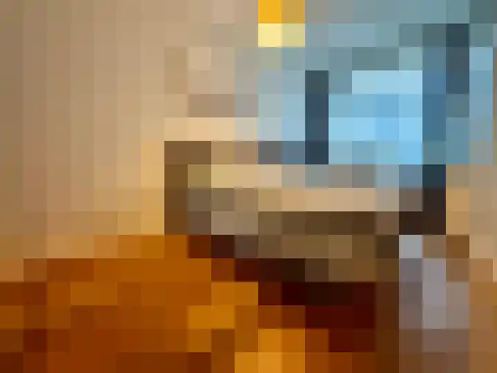 Nunspeetlaan 252 Den Haag thumbnail 5