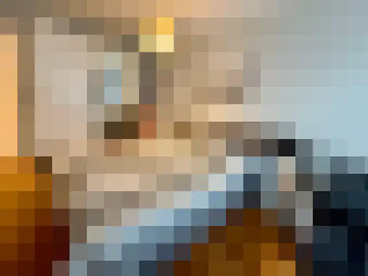 Nunspeetlaan 252 Den Haag thumbnail 6
