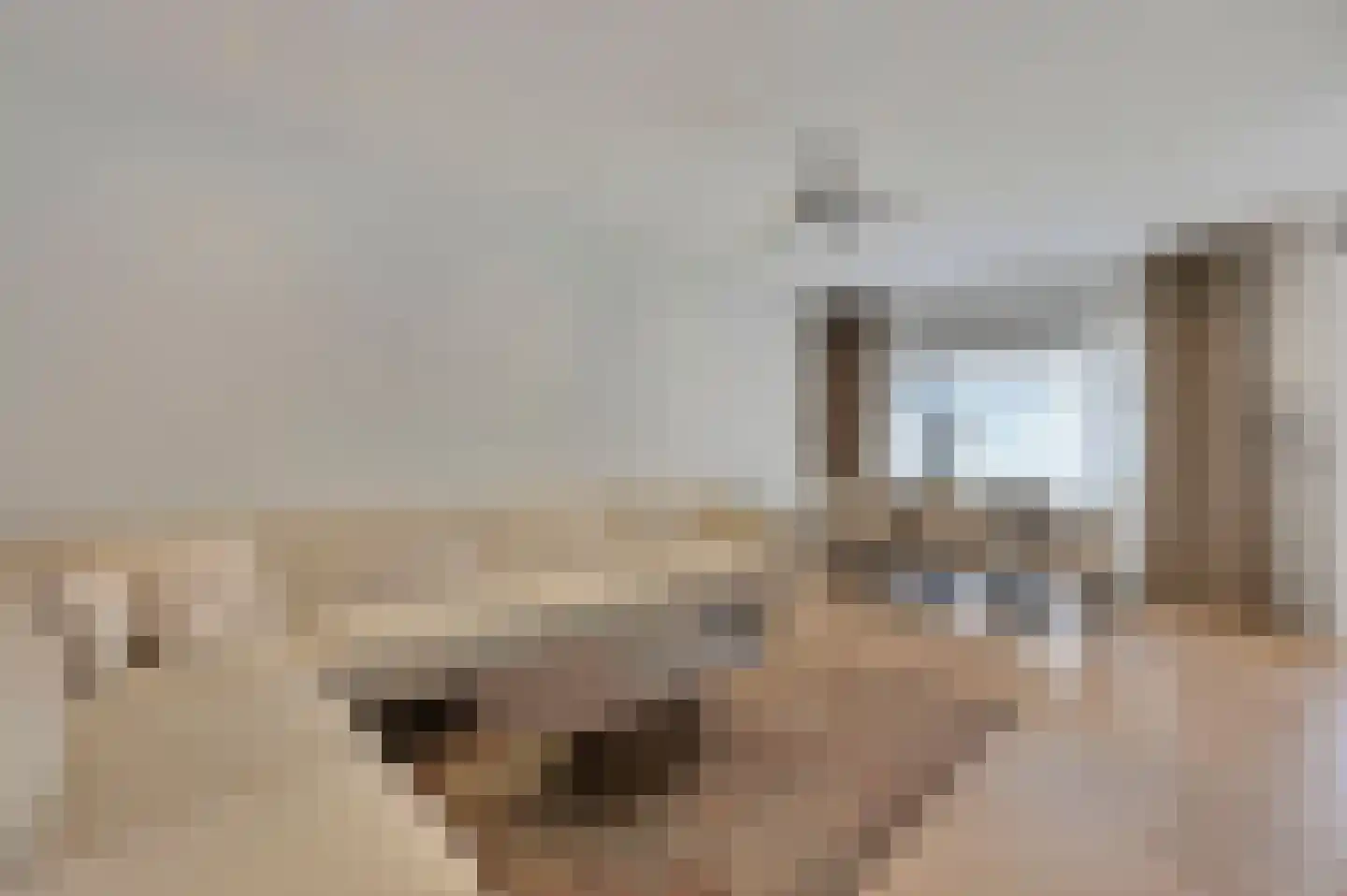 Nunspeetlaan 28 Den Haag thumbnail 4