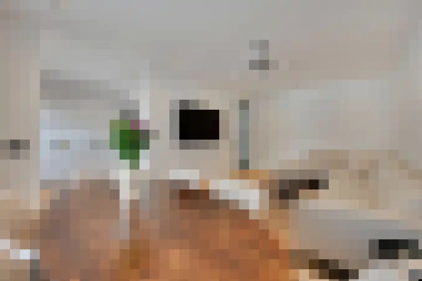 Nunspeetlaan 28 Den Haag thumbnail 5