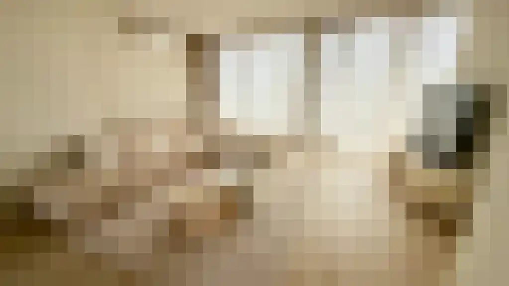 Nunspeetlaan 325 Den Haag thumbnail 4