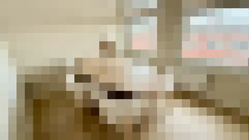 Nunspeetlaan 325 Den Haag thumbnail 5