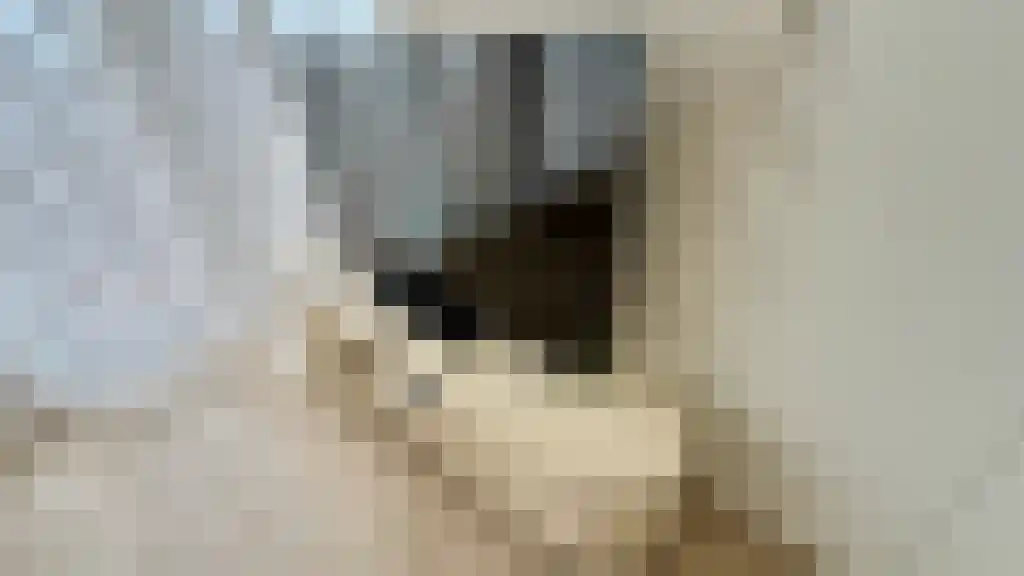 Nunspeetlaan 325 Den Haag thumbnail 6