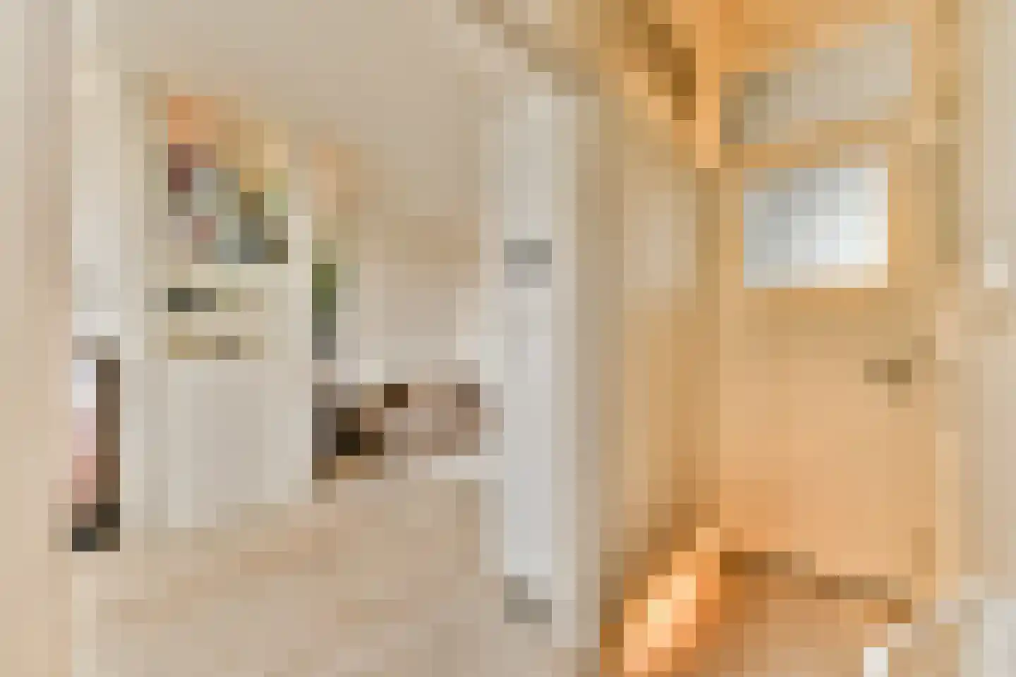 Nunspeetlaan 335 Den Haag thumbnail 7
