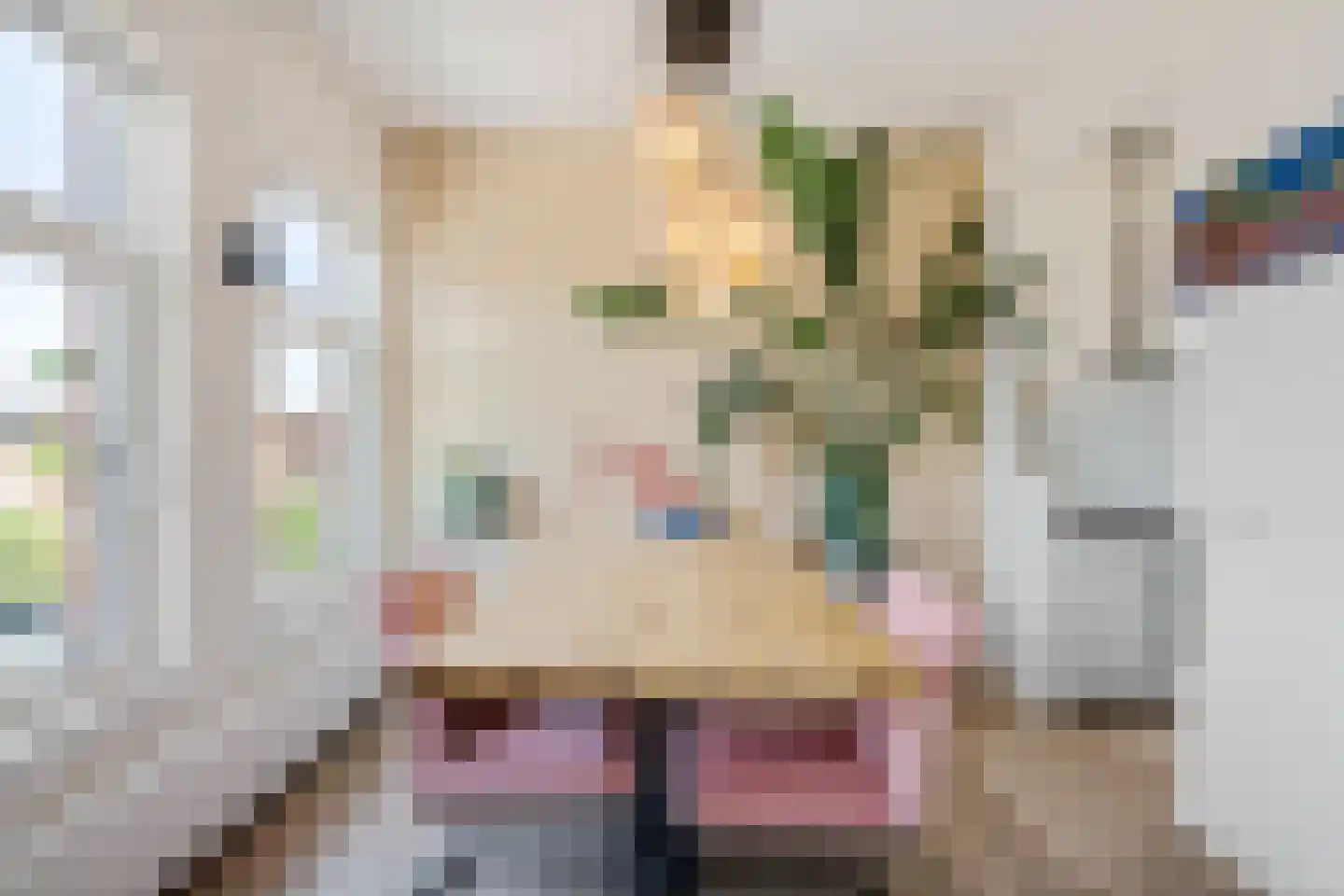 Nunspeetlaan 340 Den Haag thumbnail 18