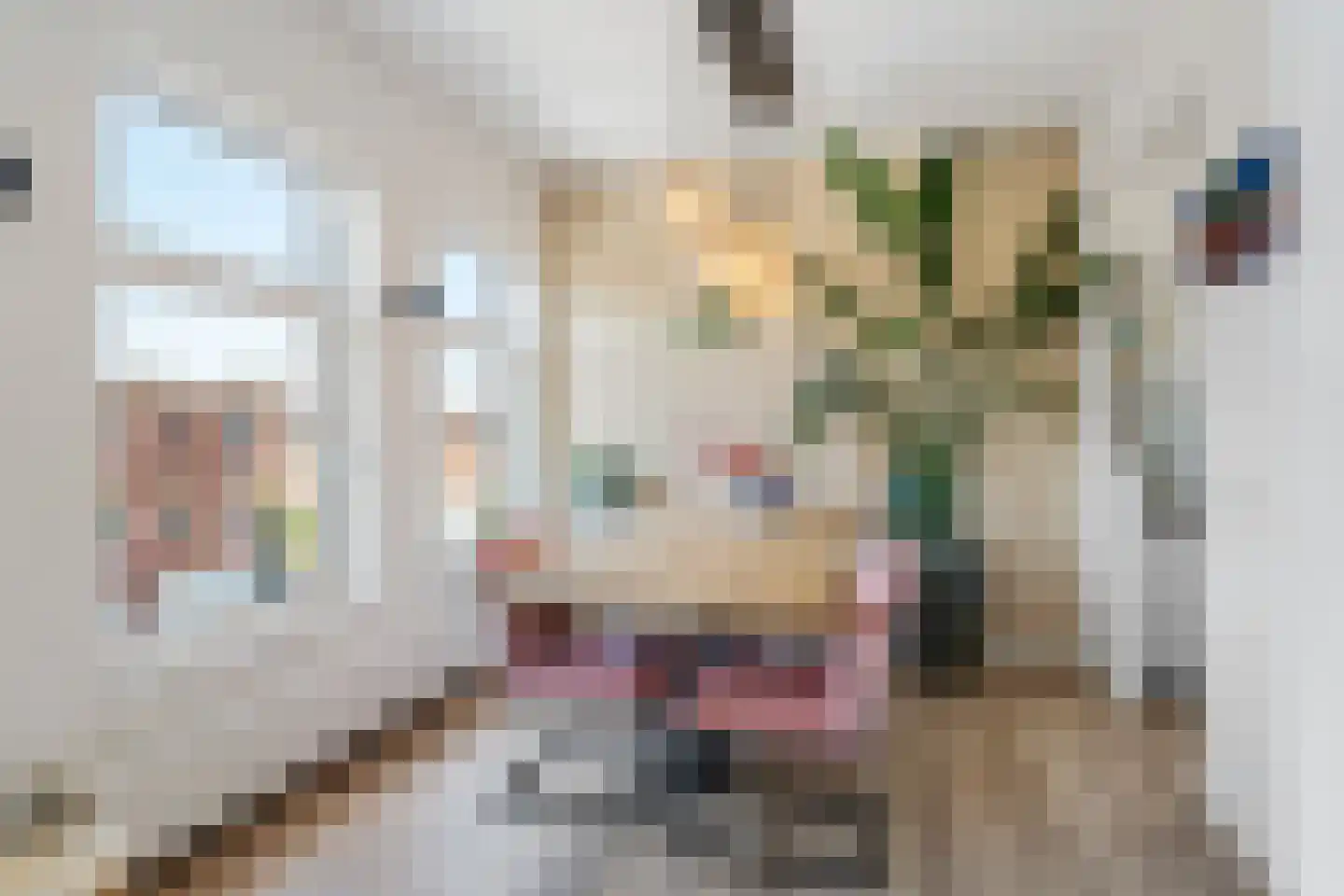 Nunspeetlaan 340 Den Haag thumbnail 19