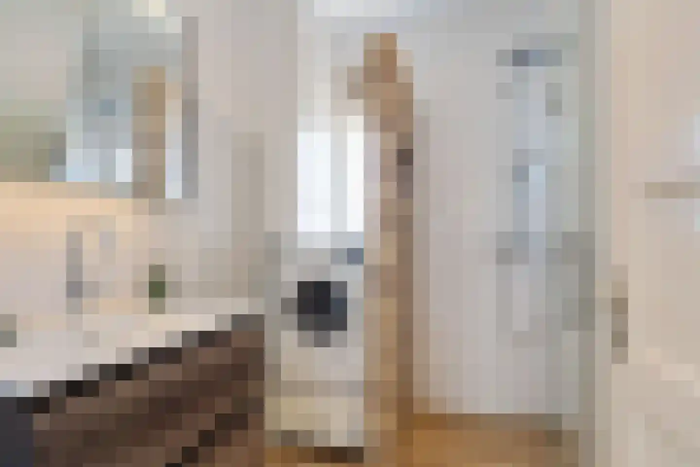 Nunspeetlaan 340 Den Haag thumbnail 34