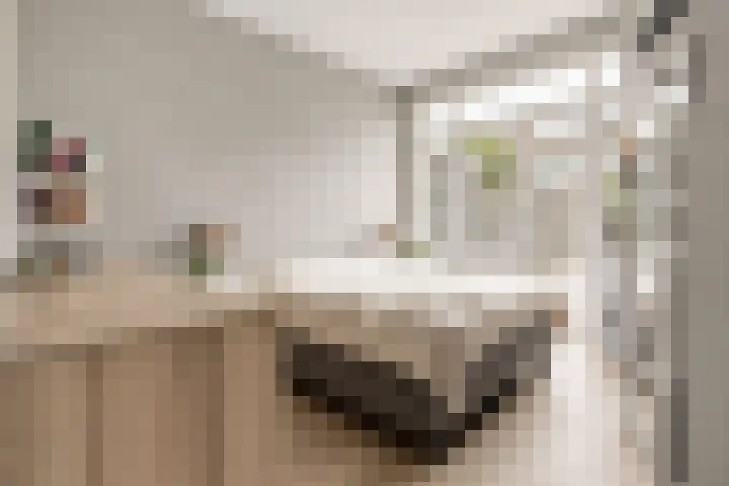 Nunspeetlaan 346 Den Haag thumbnail 10