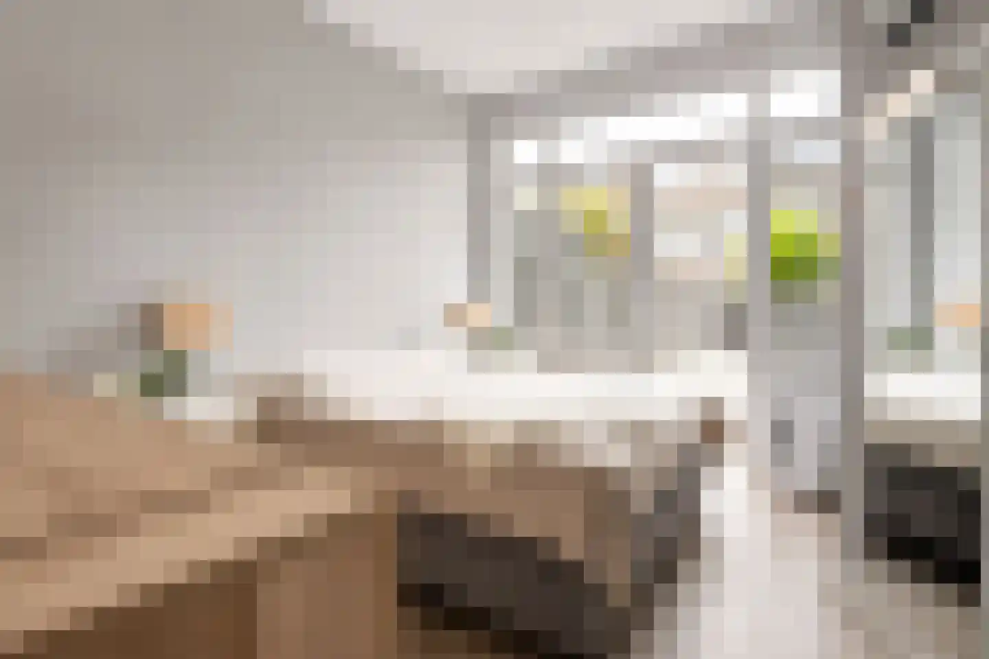 Nunspeetlaan 346 Den Haag thumbnail 11