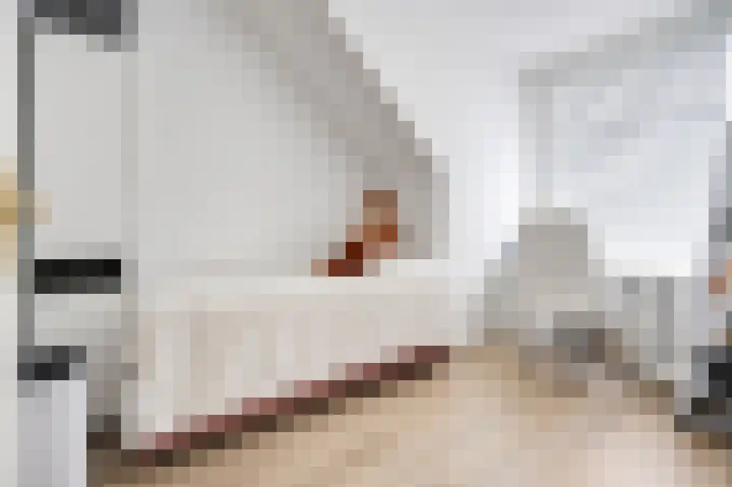 Nunspeetlaan 346 Den Haag thumbnail 17