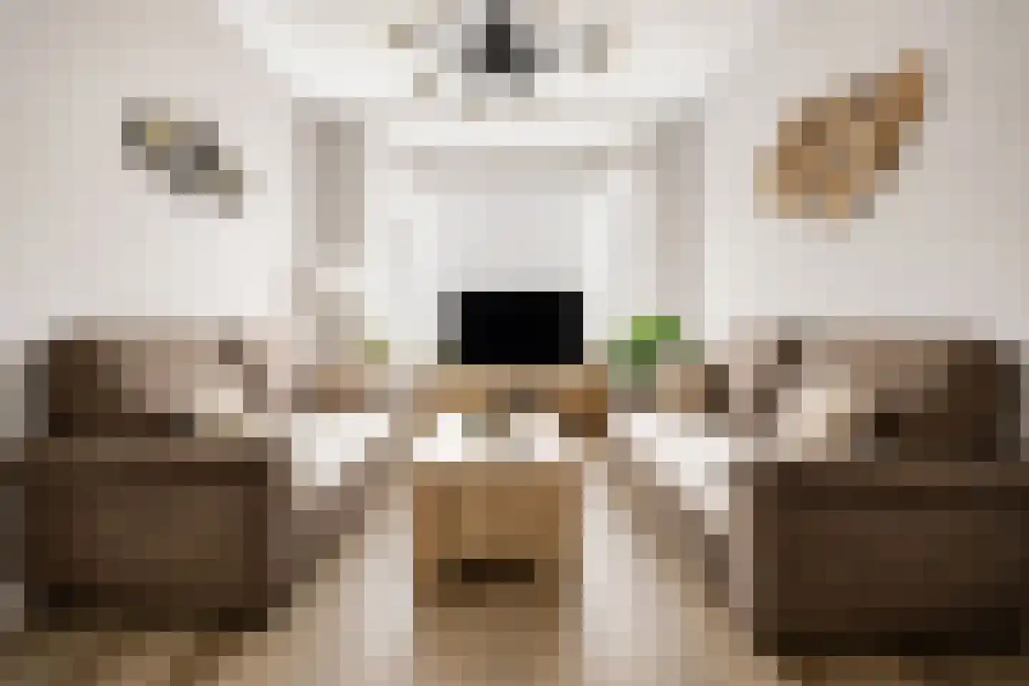 Nunspeetlaan 346 Den Haag thumbnail 4