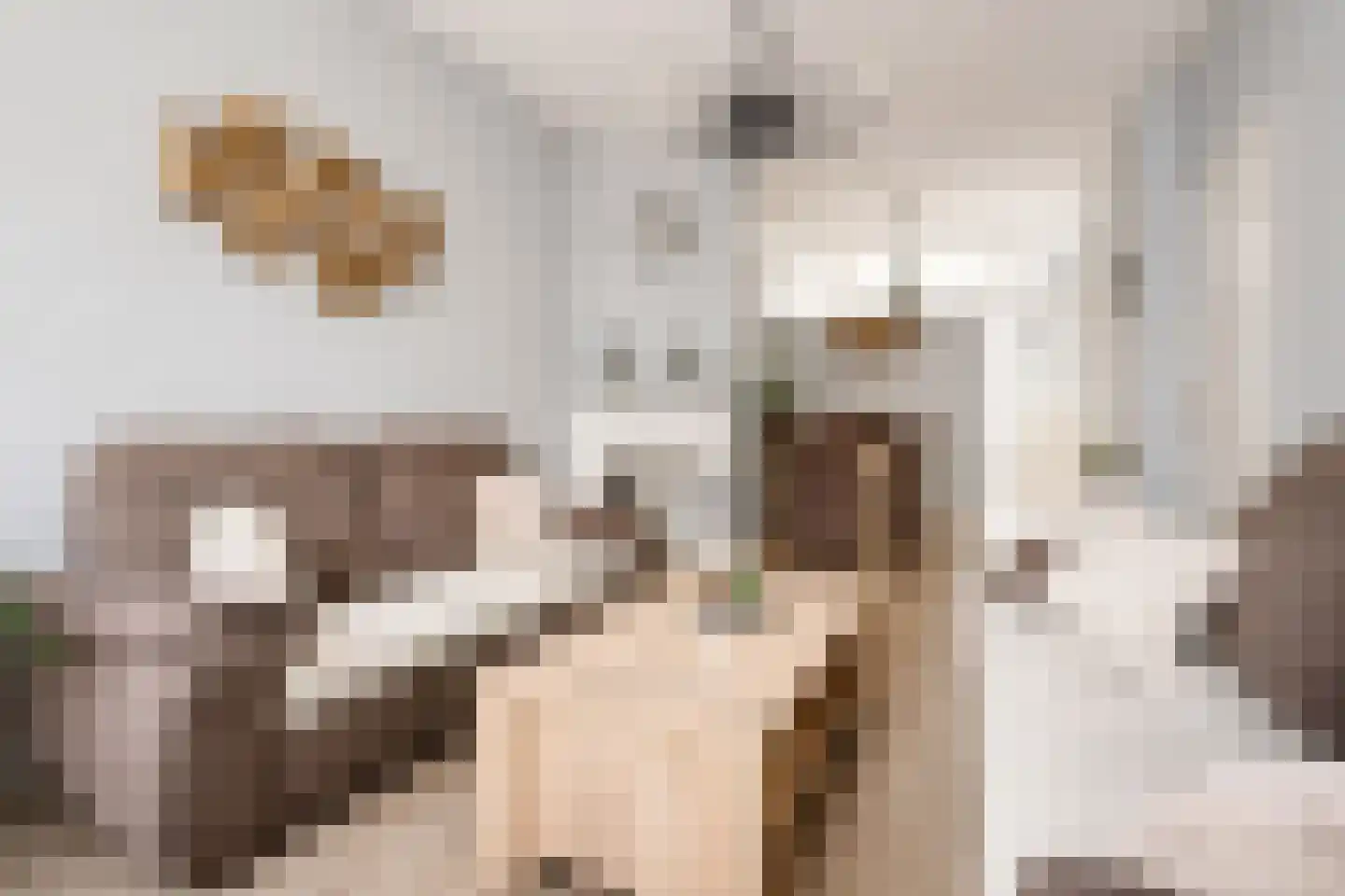 Nunspeetlaan 346 Den Haag thumbnail 5