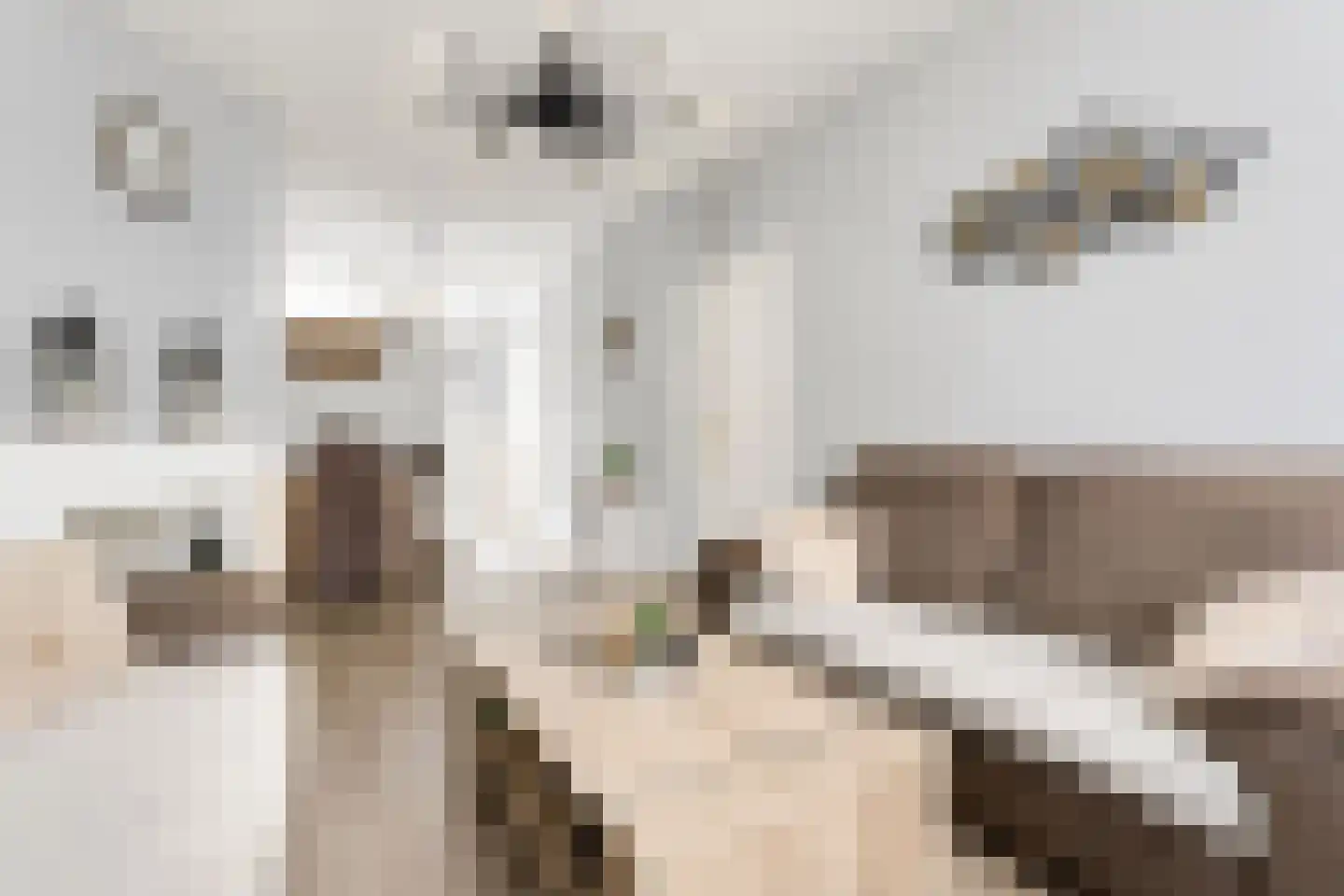 Nunspeetlaan 346 Den Haag thumbnail 7