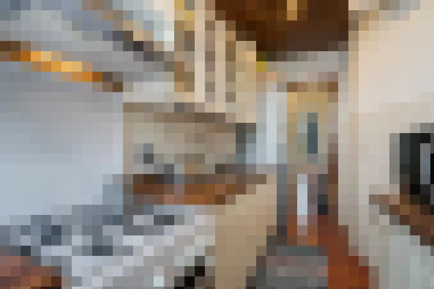 Nunspeetlaan 362 Den Haag thumbnail 18