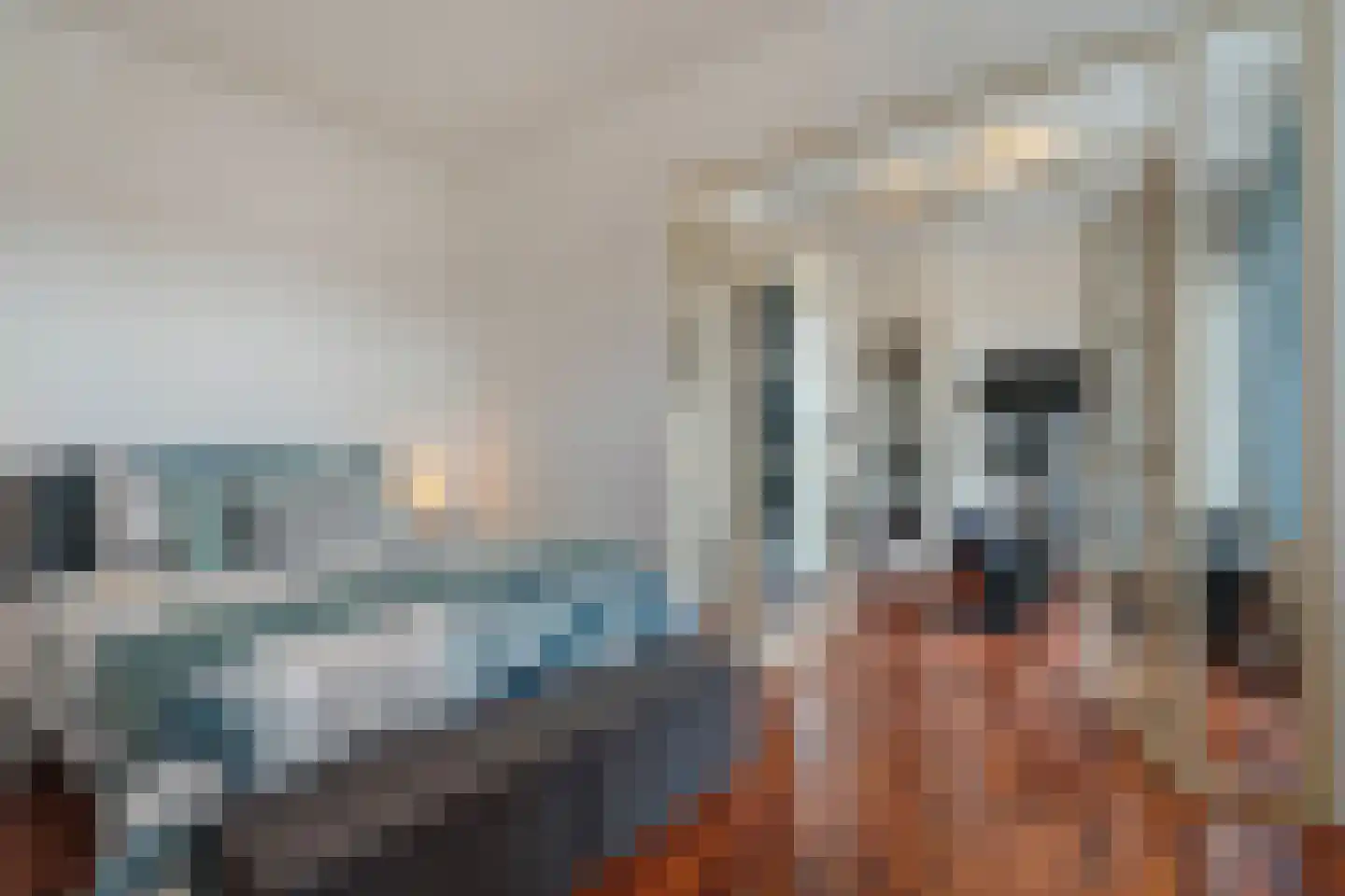 Nunspeetlaan 362 Den Haag thumbnail 26