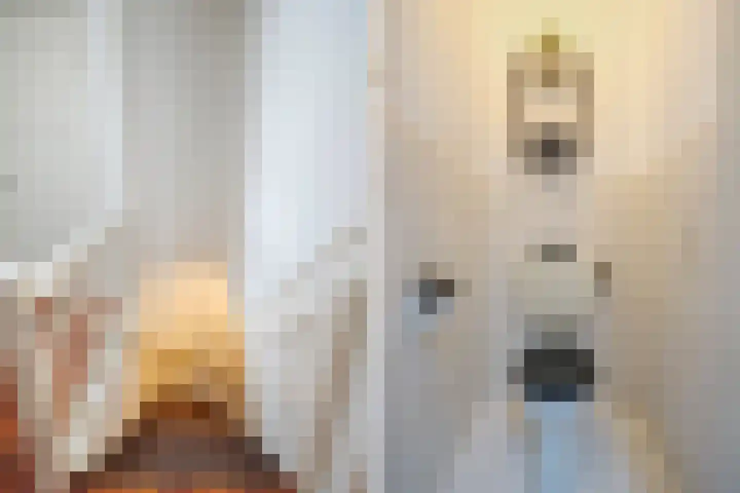 Nunspeetlaan 362 Den Haag thumbnail 36