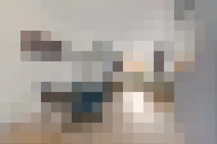 Nunspeetlaan 446 Den Haag thumbnail 8