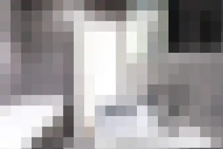 Nunspeetlaan 460 Den Haag thumbnail 19