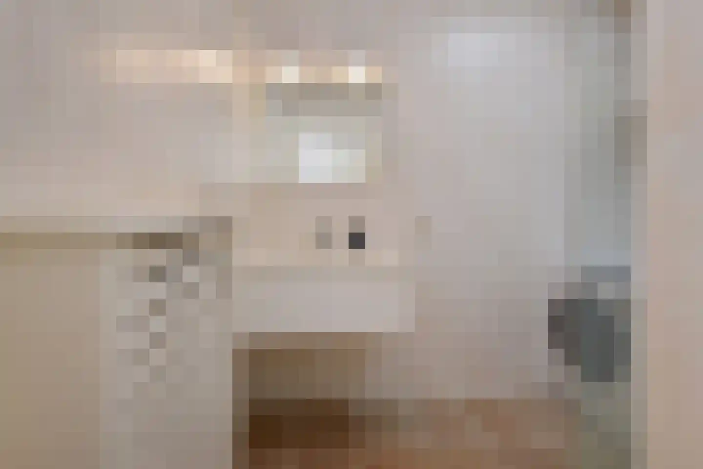 Nunspeetlaan 477 Den Haag thumbnail 18