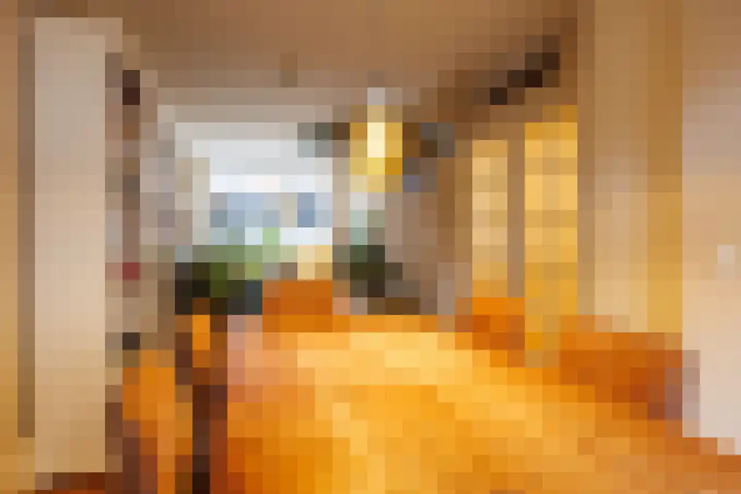 Nunspeetlaan 497 Den Haag thumbnail 7