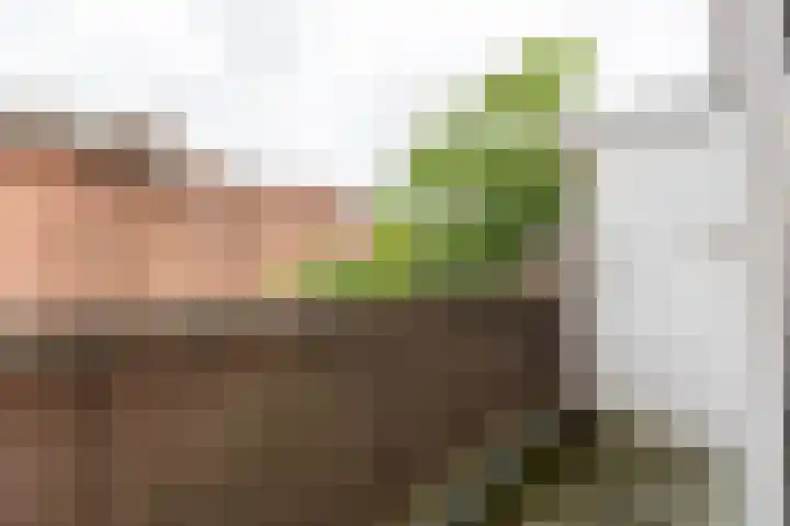 Nunspeetlaan 515 Den Haag thumbnail 10