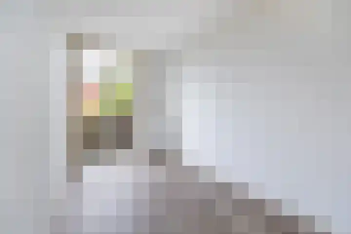 Nunspeetlaan 515 Den Haag thumbnail 12