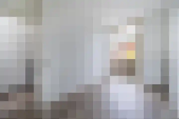 Nunspeetlaan 515 Den Haag thumbnail 13