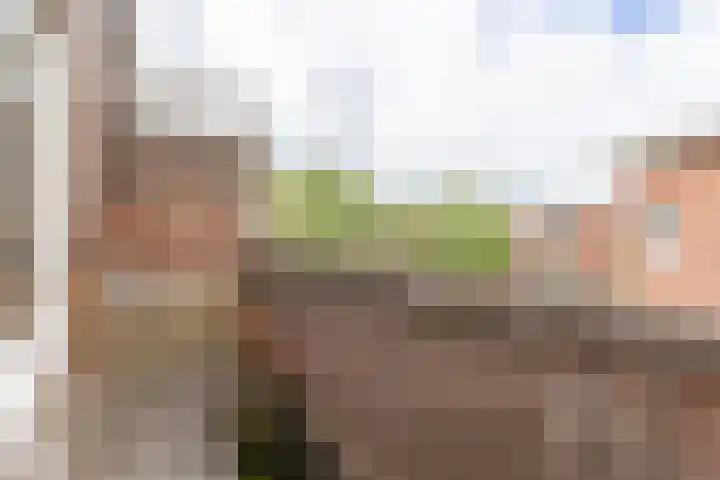 Nunspeetlaan 515 Den Haag thumbnail 9