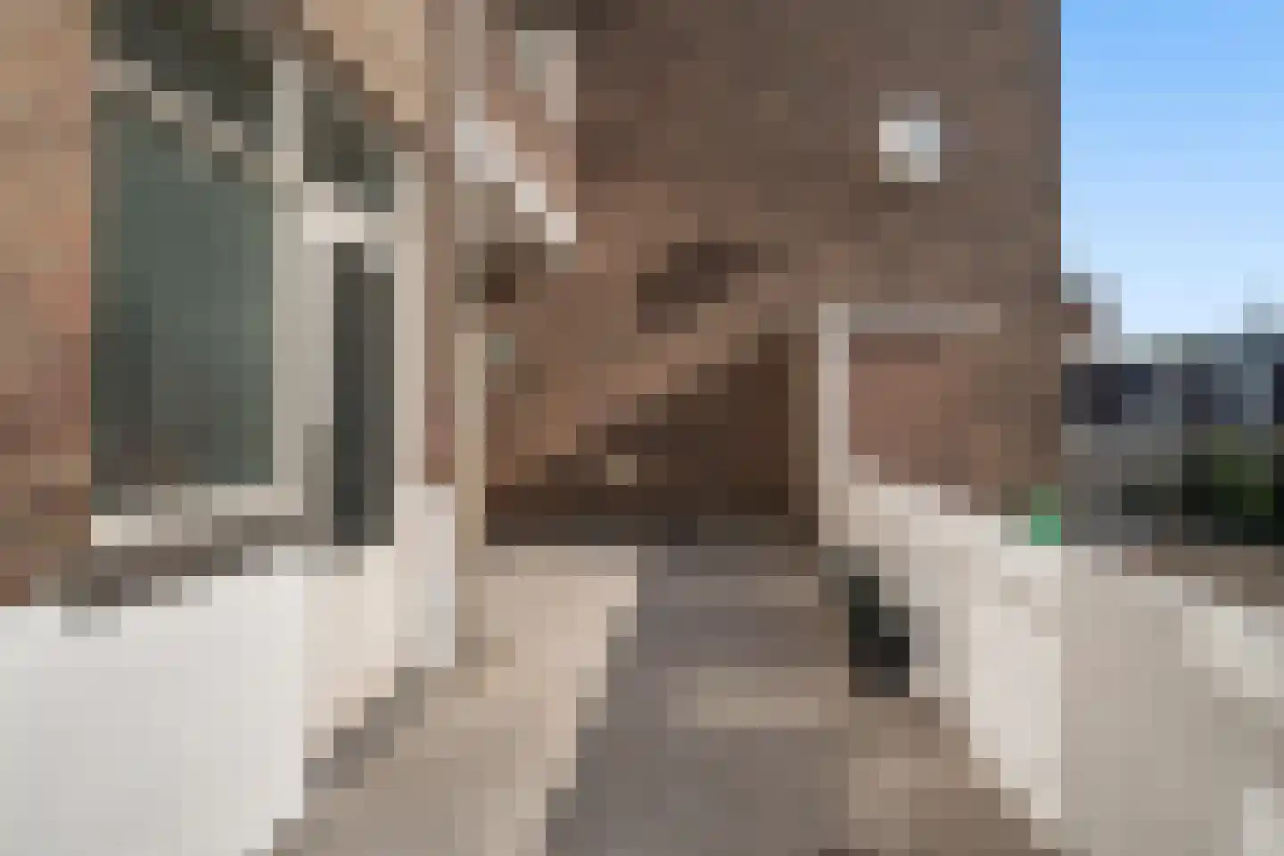 Nunspeetlaan 68 Den Haag thumbnail 28