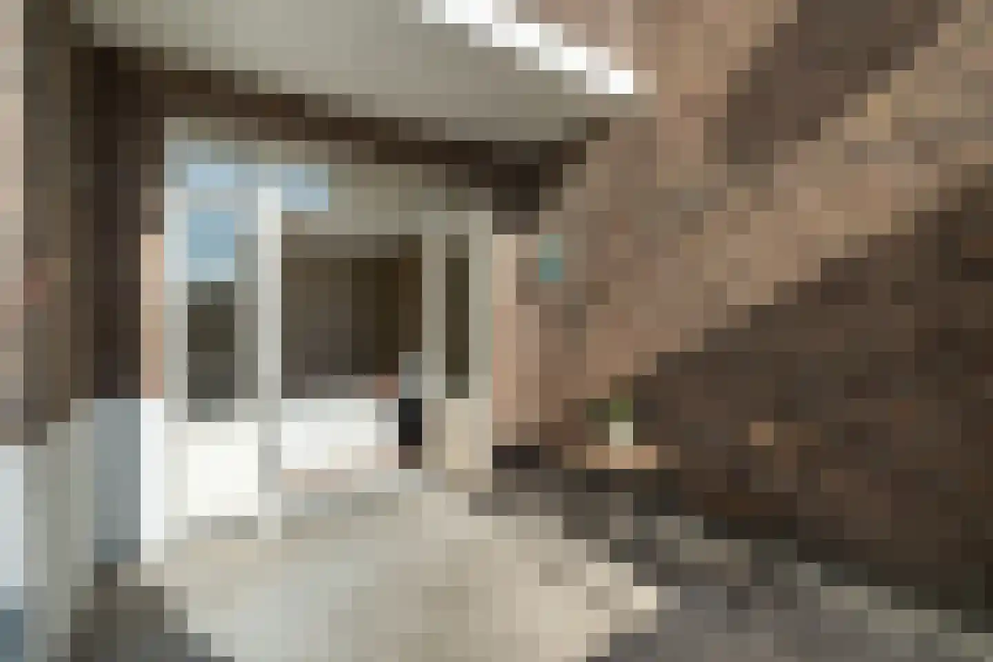 Nunspeetlaan 68 Den Haag thumbnail 31