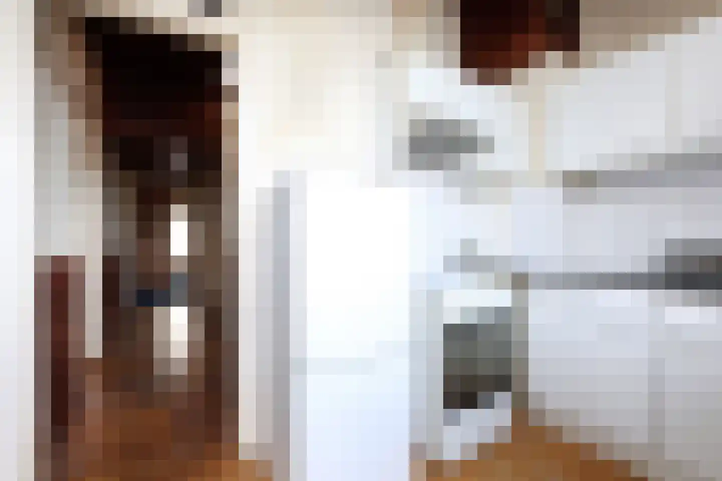 Nunspeetlaan 7 Den Haag thumbnail 15