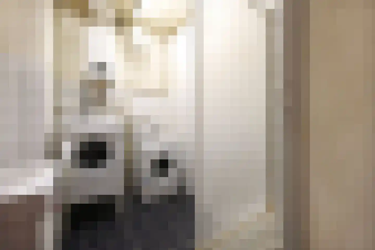Nunspeetlaan 7 Den Haag thumbnail 25
