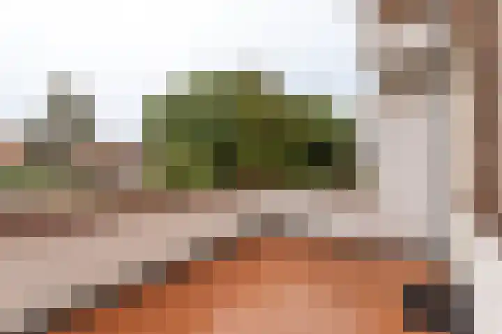 Nunspeetlaan 78 Den Haag thumbnail 4
