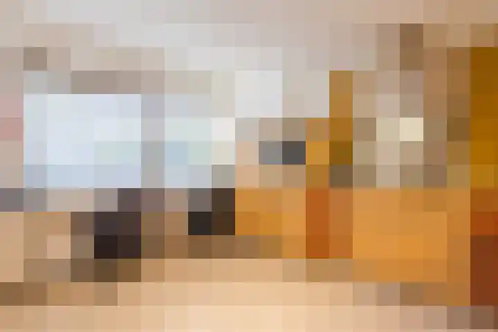 Nunspeetstraat 6 Tilburg thumbnail 10