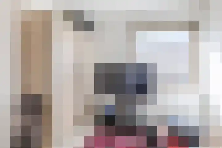 Nunspeetstraat 6 Tilburg thumbnail 22