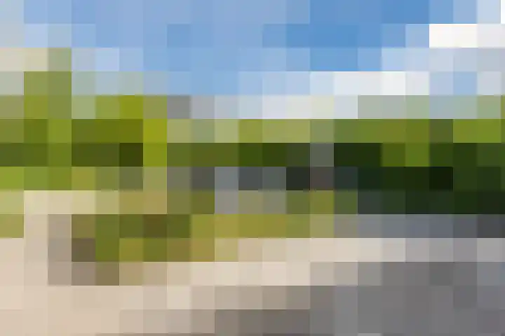 Nunspeetstraat 6 Tilburg thumbnail 26