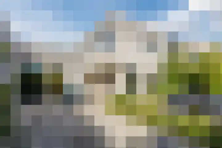 Nunspeetstraat 6 Tilburg thumbnail 27
