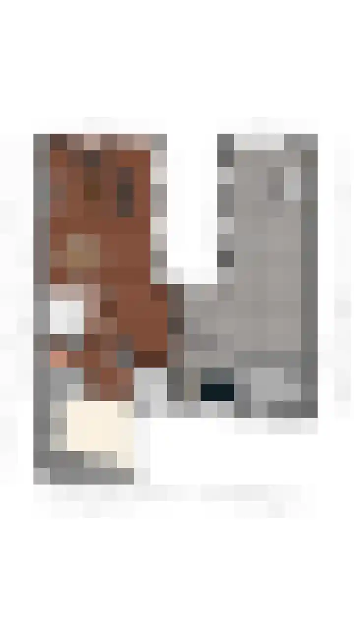 Nunspeetstraat 6 Tilburg thumbnail 32