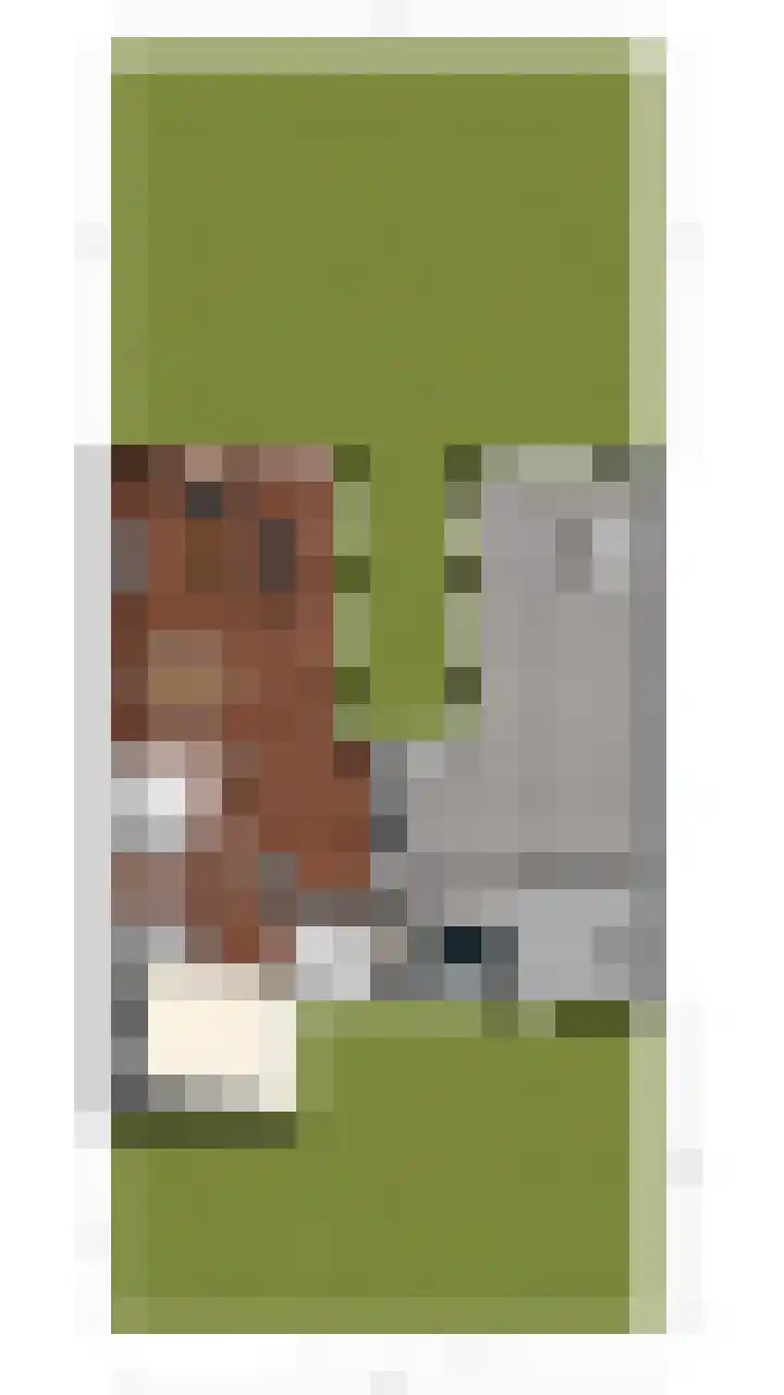 Nunspeetstraat 6 Tilburg thumbnail 34