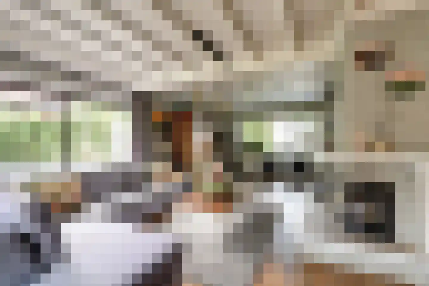 Nunspeterweg 100 Elspeet thumbnail 10