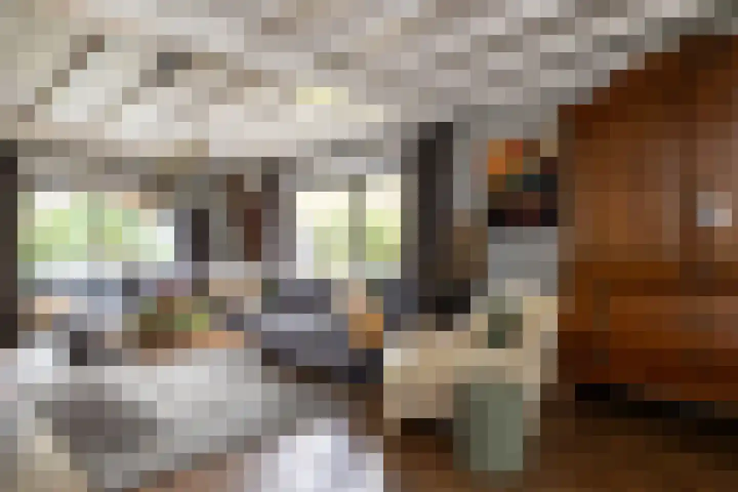 Nunspeterweg 100 Elspeet thumbnail 13